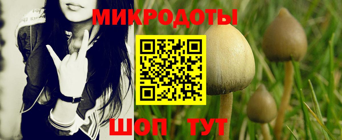 где купить наркоту  Галлюциногенные грибы Magic Shrooms  Вход с VPN  Балтийск 